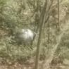 Thumbnail for Buga Sphere: Metallic Orb's Weight Mysteriously Multiplies
