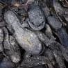 437 old shoes dug from Welsh beaches baffle locals coastline