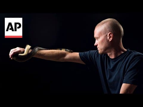 Thumbnail for Man Becomes Human Antivenom Factory After Letting Snakes Bite Him 200 Times