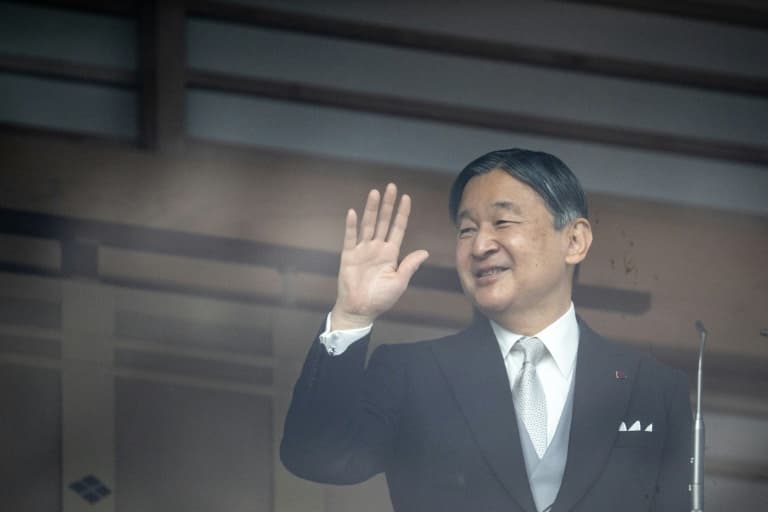 One man strips naked after Naruhito New Year palace wave