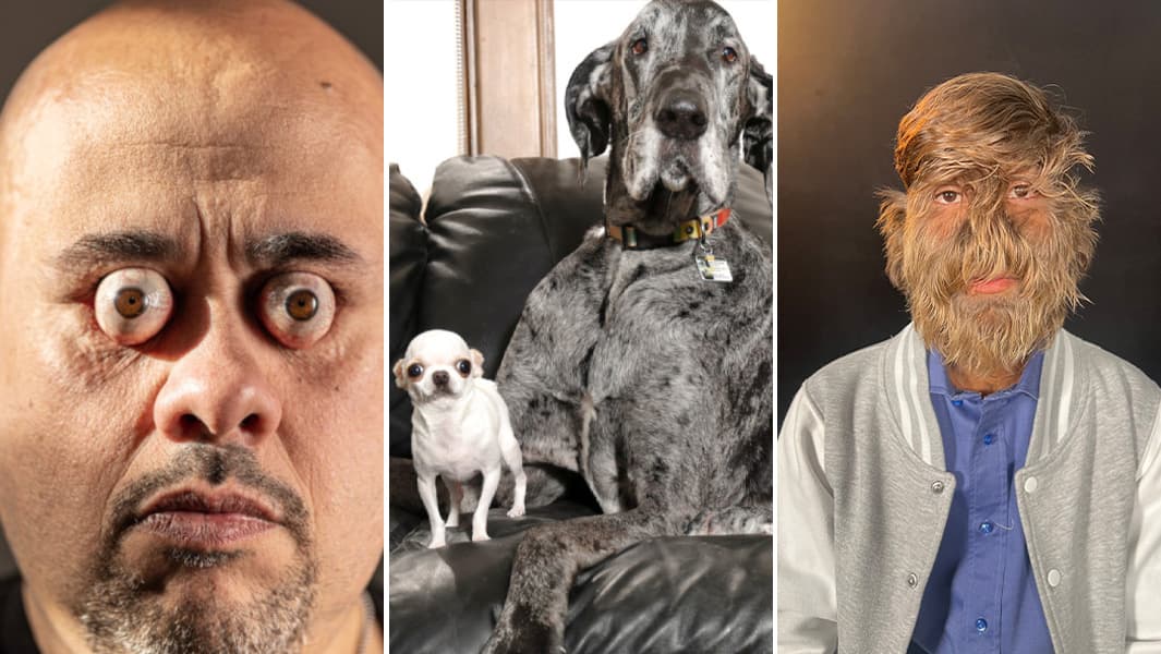 Thumbnail for Guinness 2025: Eyeball Pops, Canine Giants, and More