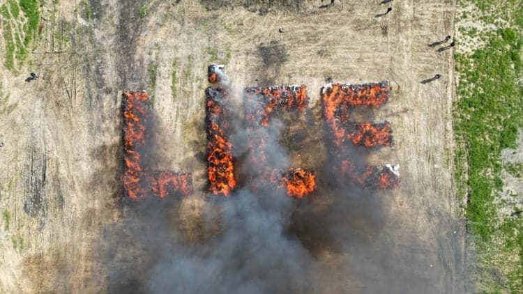 Thumbnail for Turkish Town Accidentally Gets High After Cops Burn 20 Tons of Confiscated Weed