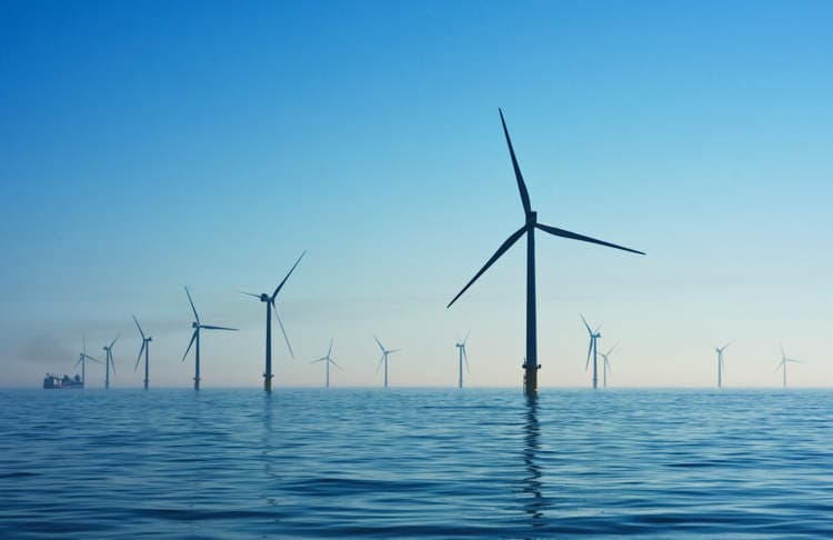 Thumbnail for Belgium Wind Farms Drain 3% Dutch Gusts, CEO Pleads for Coordination