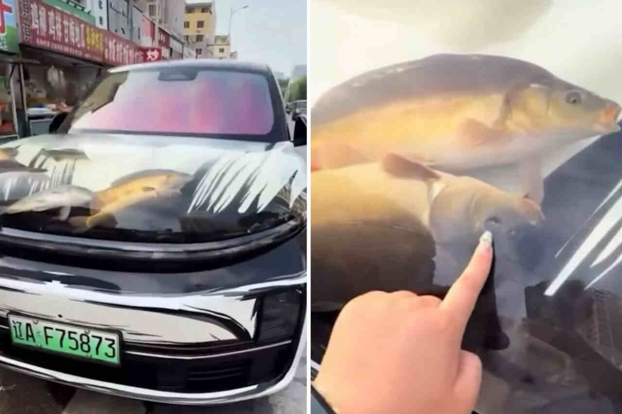 Thumbnail for Li Auto L9 Hood Aquarium: 12 Live Crabs Cruise Through Liaoning Streets