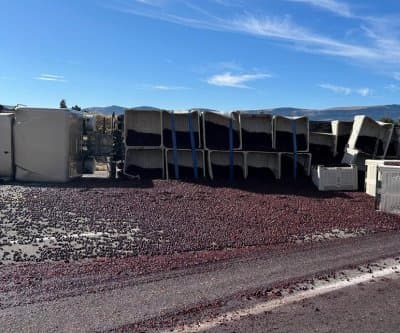 Thumbnail for Washington Road Flooded by 50,000 Cherries as Truck Flips at Sunrise