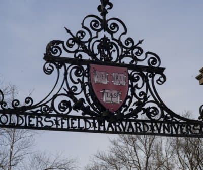 Thumbnail for Harvard Scientist's Frog Embryo Smuggling Indictment Shocks Boston