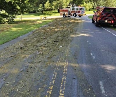 Thumbnail for 12 Tons Toothpaste Floods Asheville Road, Minty Chaos Meets Sawdust Brigade